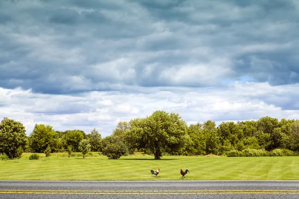 Side View on Countryside Road With Dark Rainy Sky