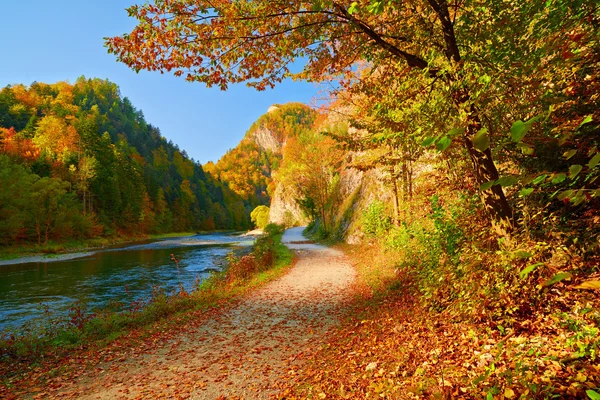 Autumn landscape with Dunajec River Gorge. Pieniny Mountains