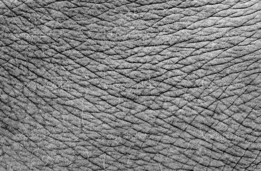 download Techniques in Mineral