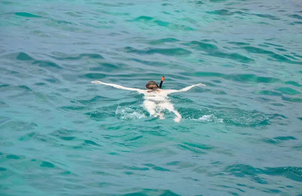 Traveler snorkeling in clean ocean