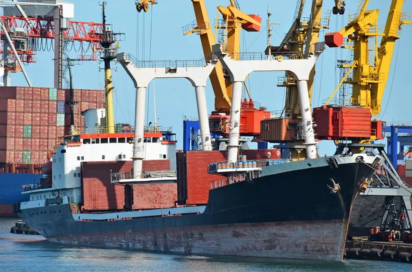 Bulk cargo ship under port crane