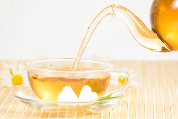 Teacup with herbal chamomile tea