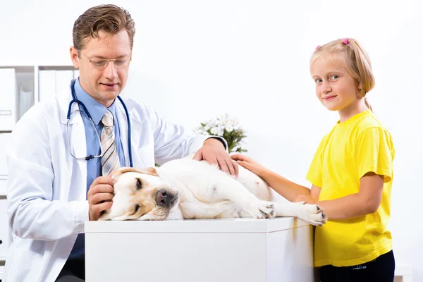 Girl holds a dog in a veterinary clinic