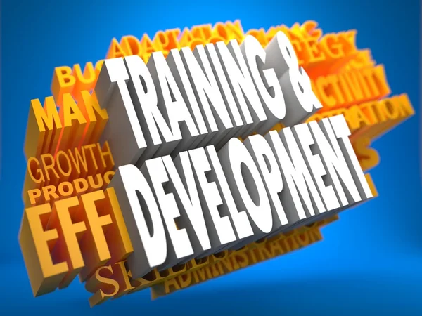 Training and Development. Wordcloud Concept.