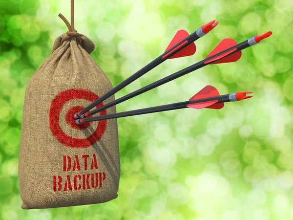 Data Backup - Arrows Hit in Red Mark Target.