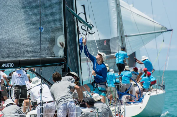 Racing yacht in a sea