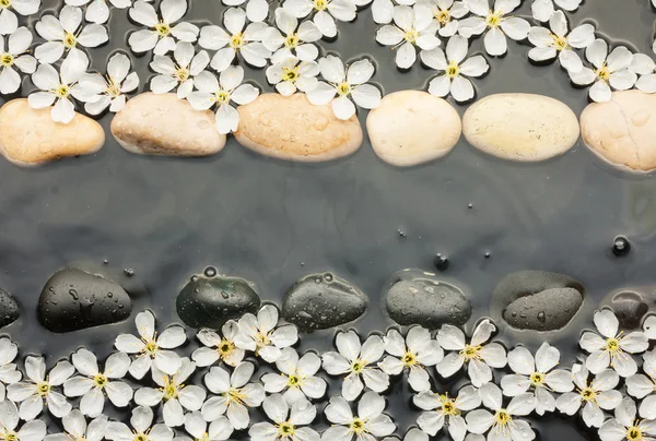 White and black  stones and  flowers  in the water