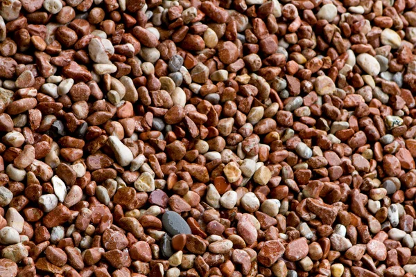 Close up of sticks and stones