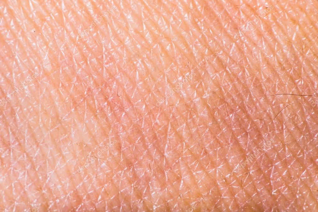 human skin texture stock image image of micro macro 26409147 текстура кожи человека стоковое фото 169 deyangeorgiev2 38668035 human skin texture stock image image of micro macro 26409147 текстура кожи человека стоковое фото 169 deyangeorgiev2 38668035