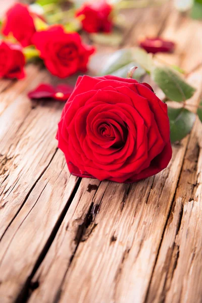 Red roses on wood