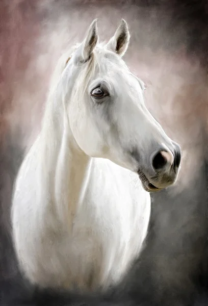 A white horse