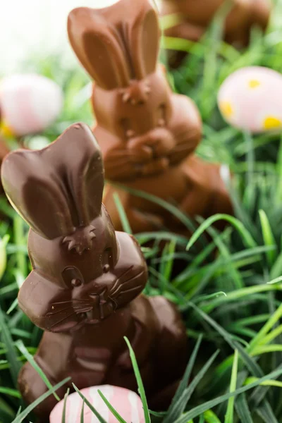 Chocolate bunnies