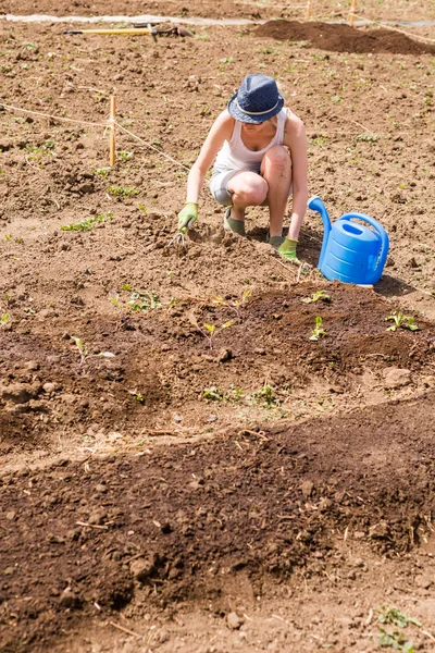 Community garden