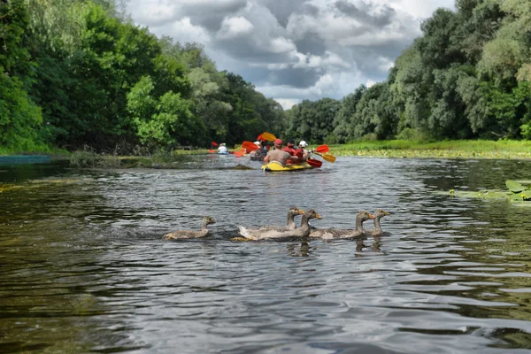 River, Sula,  Ukraine, river rafting kayaking editorial photo