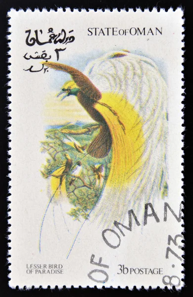 OMAN - CIRCA 1973: A stamp printed in Oman dedicated to exotic birds shows lesser bird of paradise, circa 1973