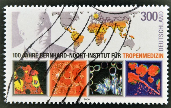 GERMANY - CIRCA 2000: A stamp printed in Germany dedicated to Bernhard Nocht Institute for Tropical Medicine, circa 2000