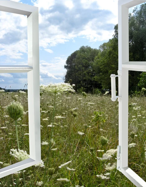 Opened window to the summer field