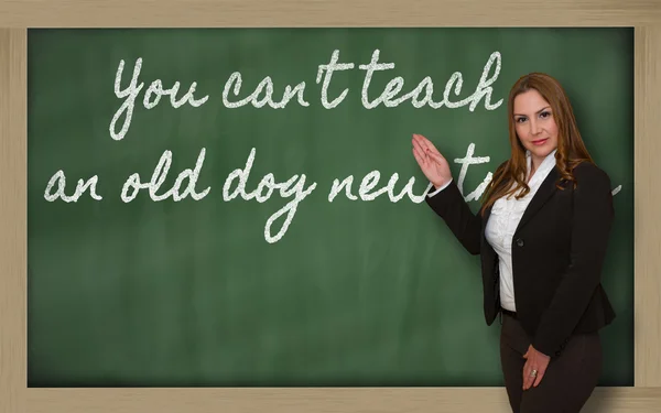 Teacher showing You can t teach an old dog new tricks on blackbo