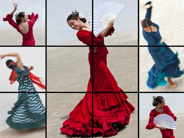 Montage of Woman Spanish Flamenco Dancer