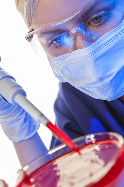 Female Scientist Doctor In Laboratory