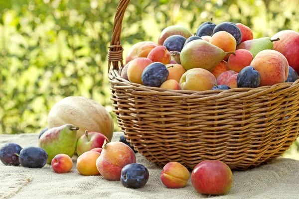 Fresh organic Fruit in wicker basket