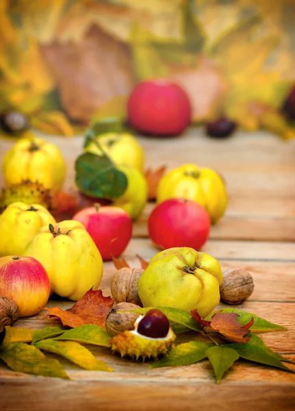 Autumn fruit - Autumn harvest