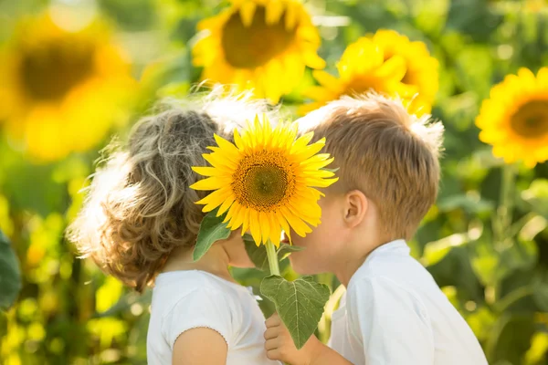 Children hiding by sunflower