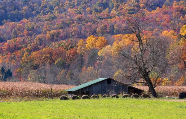 Farm in autumn