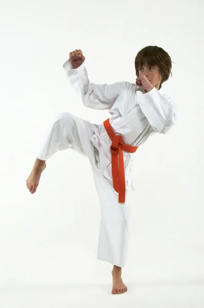 Boy practicing karate on white background