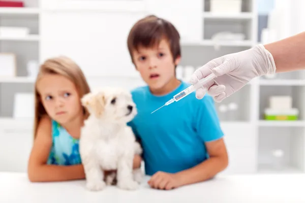 Worried kids with their pet at the veterinary