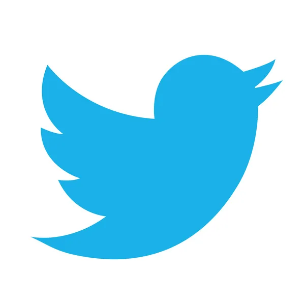 Modern Twitter Bird Icon