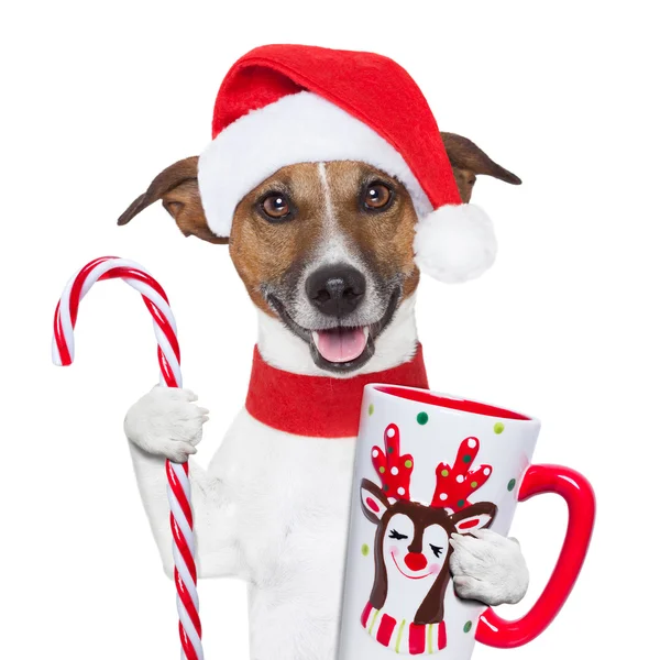 Xmas dog with cup and candy cane