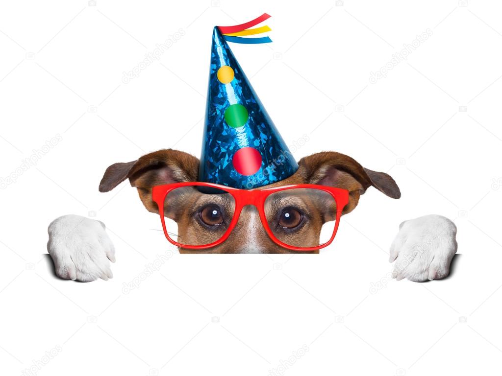 Resultado de imagem para aniversário de cão imagens