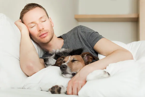Dog owner in bed