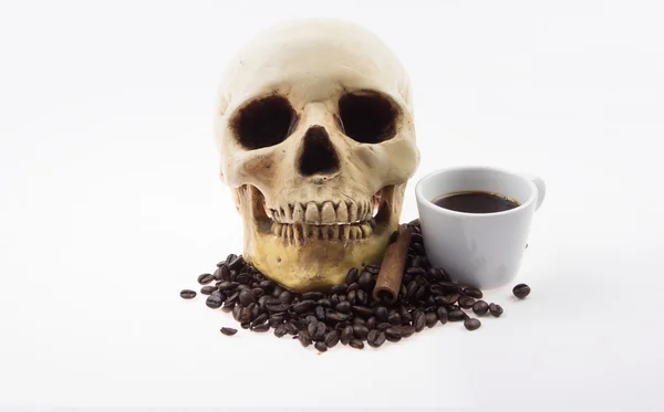 Human skull soak and coffee cup
