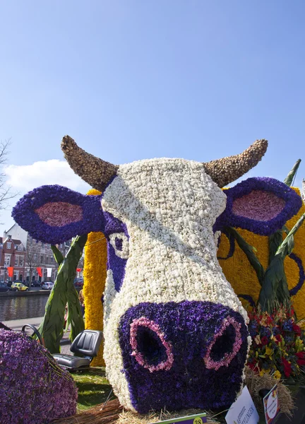 HAARLEM, THE NETHERLANDS - APRIL 21 2013: Dutch cow with flowers at flower parade on April 21 2013 in Haarlem, The Netherlands. The annual flower parade is a unique event with one million visitors.