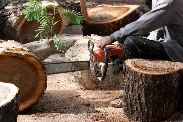 Lumberjack cutting a tree trunk with chainsaw