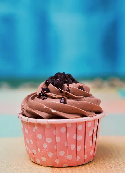 Chocolate cup cake on table top