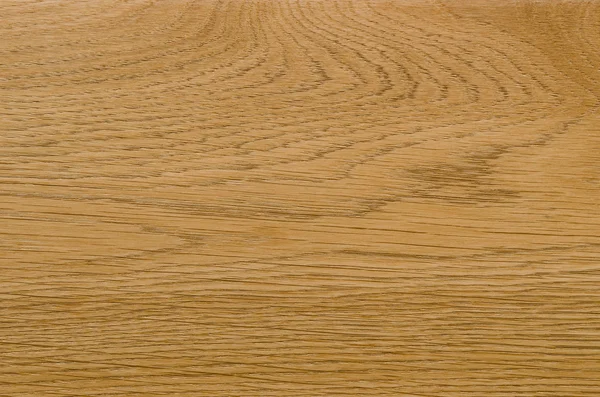 Nature pattern detail of Ash wood background