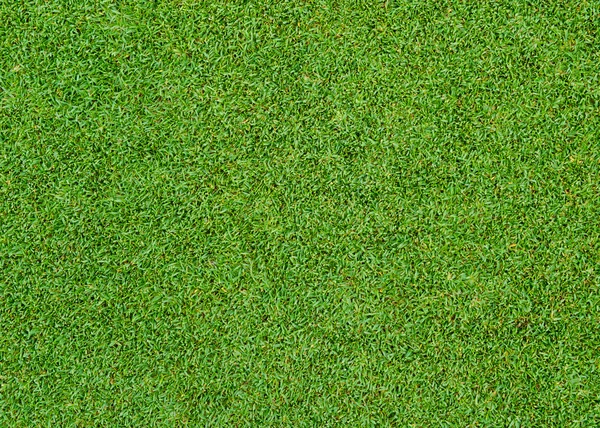 Green grass pattern