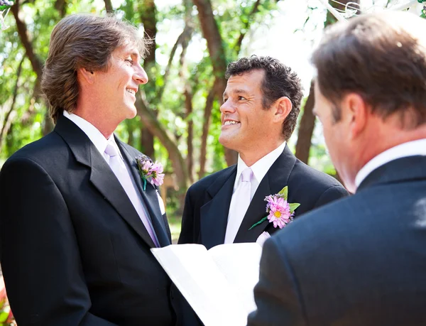 Gay Wedding - Together for Life — Stock Photo #13436070