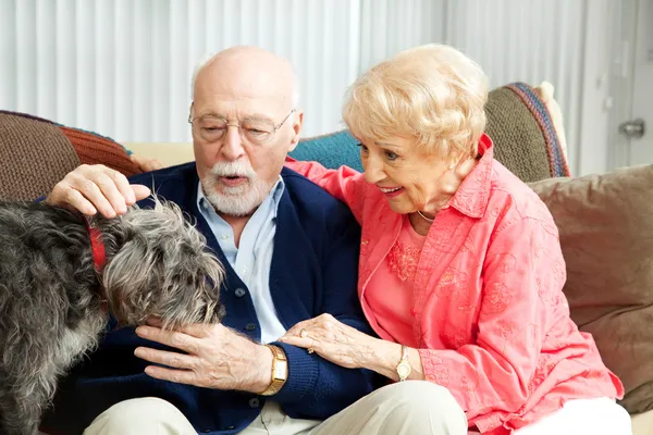 Senior Couple - Dog Lovers