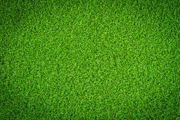 Artificial Grass Field