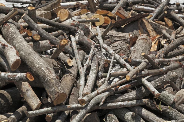 Timber pile