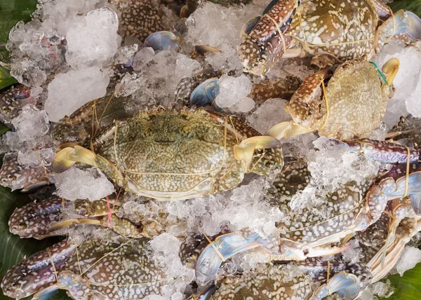 Fresh raw flower crab, blue crab on ice in market