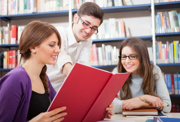 Student reading a book