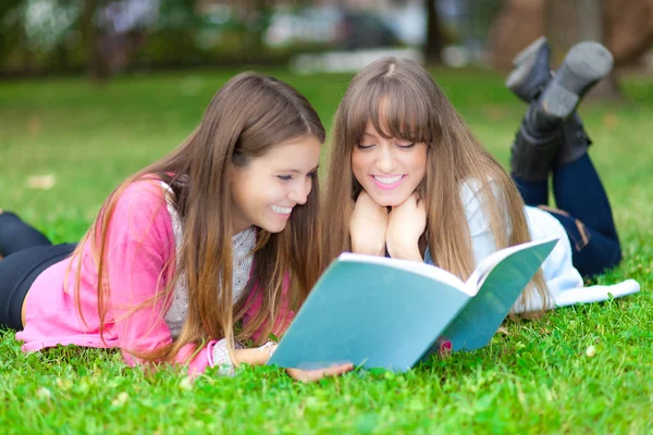 Students studying in the park
