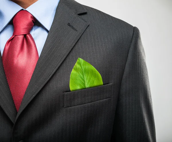 Businessman keeping a green leaf in his pocket