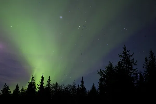 Streaming Northern Lights