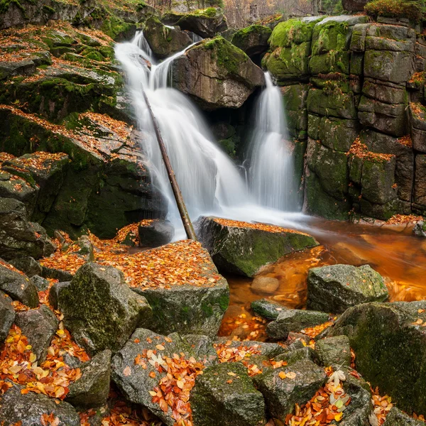 Beautiful Waterfall